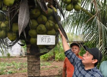 Walikota : Ayo Kita Sukseskan GEMPALA