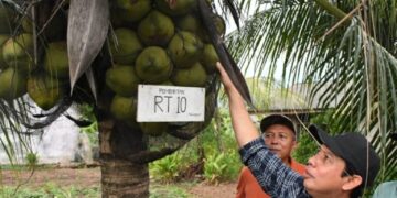 Walikota : Ayo Kita Sukseskan GEMPALA