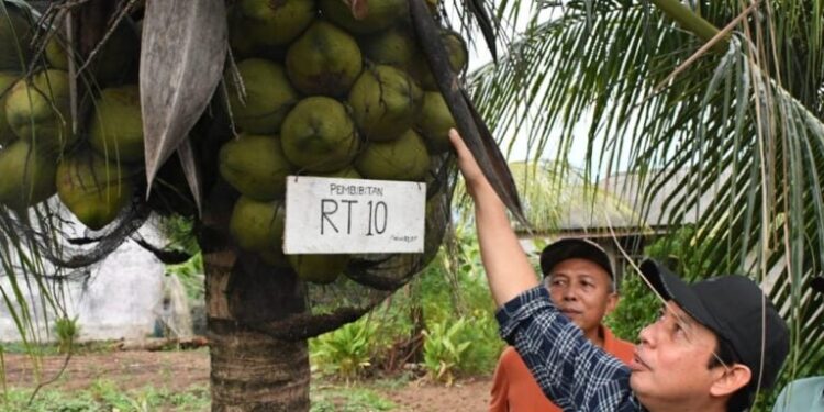 Walikota : Ayo Kita Sukseskan GEMPALA